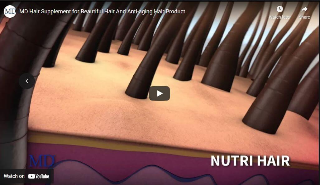 Animated video explaining how MD Nutri Hair works to support natural hair growth cycle by nourishing follicles, blocking DHT, and strengthening hair from within – drug-free hair supplement by MD Hair