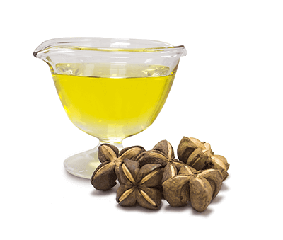 Sacha Inchi Oil