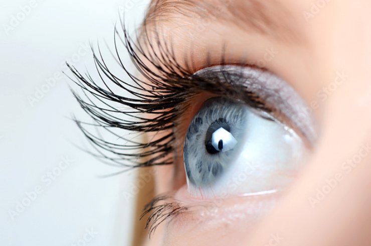 apply lashes with eyelash curler