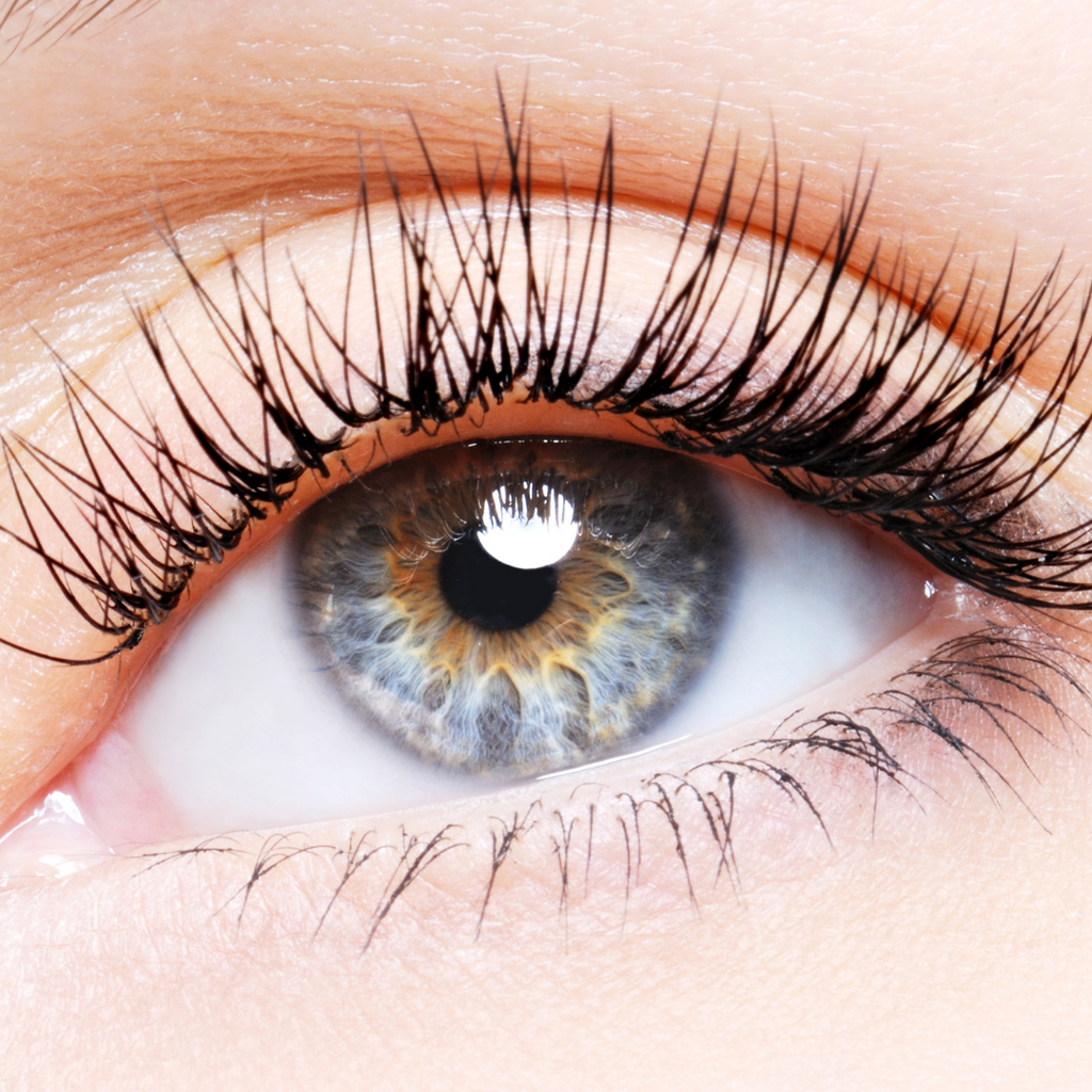 What are the ingredients your lash serum should have?